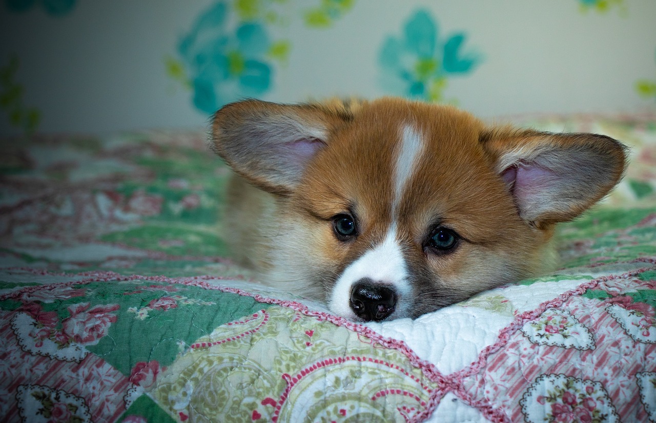 99exch: Transforming India's Online Trading Landscape with Innovation and Trust